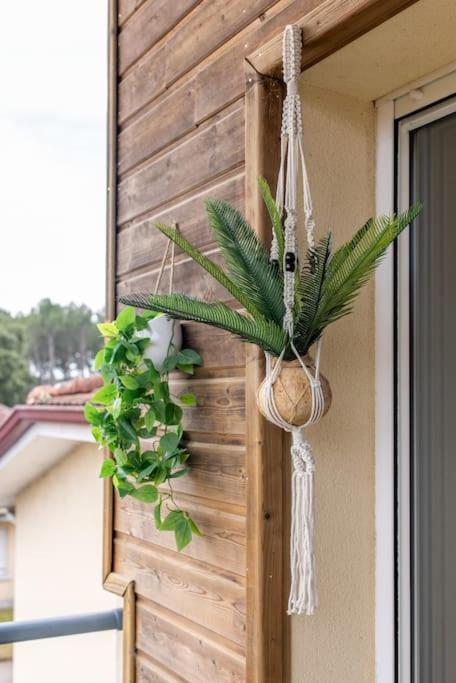 Appartement Des Grands Lacs Sanguinet Exteriér fotografie